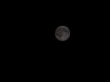 20140810-IMG 7184