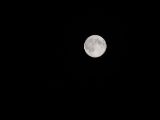 20140810-IMG 7186