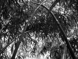 20110312 IMG 4092 2