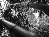 20110312 IMG 4093 2