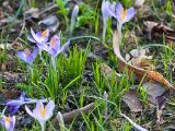 20110312 IMG 4102 2