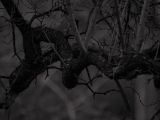20110312 IMG 4115 2