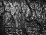 20110312 IMG 4128 2