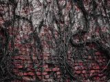 20110312 IMG 4129 2