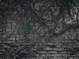 20110312 IMG 4130 2