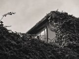 20110312 IMG 4135 2