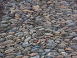 20110312 IMG 4136 2