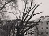 20110312 IMG 4138 2