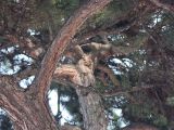 20110312 IMG 4141 2