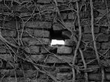 20110312 IMG 4146 2