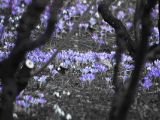 20110312 IMG 4153 2