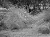 20110312 IMG 4155 2