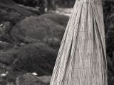 20110312 IMG 4157 2