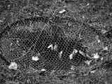 20110312 IMG 4159 2
