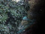 20110312 IMG 4164 2