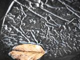 20110312 IMG 4173 2