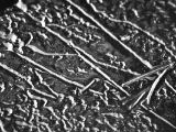 20110312 IMG 4174 2
