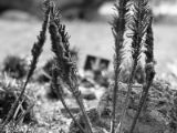 20110312 IMG 4181 2
