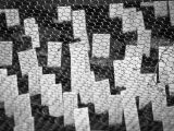 20110312 IMG 4193 2