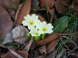 20110312 IMG 4194 2