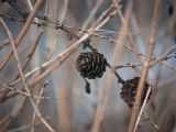 20110312 IMG 4196 2