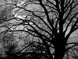 20110312 IMG 4229 2