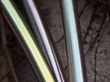 20110312 IMG 4233 2