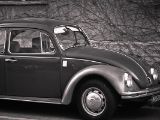 20110312 IMG 4236 2