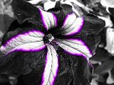 DSCN0192
