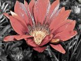 DSCN0194