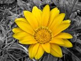 DSCN0195