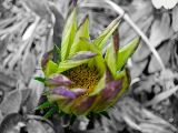 DSCN0197