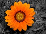 DSCN0198