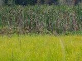 20140819-IMG 7641
