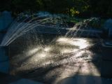 20140819-IMG 7866