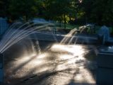 20140819-IMG 7867