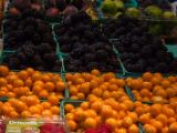 20140820-IMG 7941