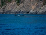 20140821-IMG 8198 : Canada, Victoria