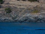 20140821-IMG 8200 : Canada, Victoria