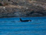 20140821-IMG 8270 : Canada, Victoria