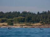 20140821-IMG 8330 : Canada, Victoria