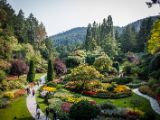 20140822-IMG 8848 : Butterfly Garden, Canada, The Butchard Garden, Vancouver Island