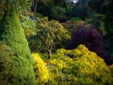 20140822-IMG 8939 : Butterfly Garden, Canada, The Butchard Garden, Vancouver Island