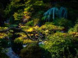20140822-IMG 8948 : Butterfly Garden, Canada, The Butchard Garden, Vancouver Island