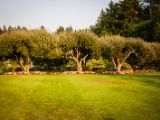 20140822-IMG 8995 : Butterfly Garden, Canada, The Butchard Garden, Vancouver Island