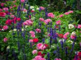 20140822- MG 9803