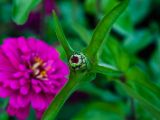 20140822- MG 9832