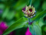 20140822- MG 9833