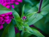 20140822- MG 9834