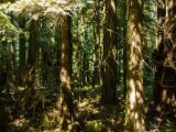20140823-IMG 9059 : Canada, Vancouver Island